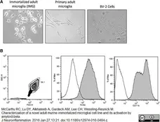 Anti Mouse CD11b Antibody, clone M1/70.15 gallery image 7