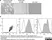 Anti Mouse CD11b Antibody, clone M1/70.15 thumbnail image 7
