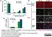 Anti Mouse CD11b Antibody, clone M1/70.15 thumbnail image 8
