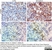 Anti Mouse CD11c Antibody, clone N418 thumbnail image 10