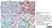 Anti Mouse CD11c Antibody, clone N418 thumbnail image 10