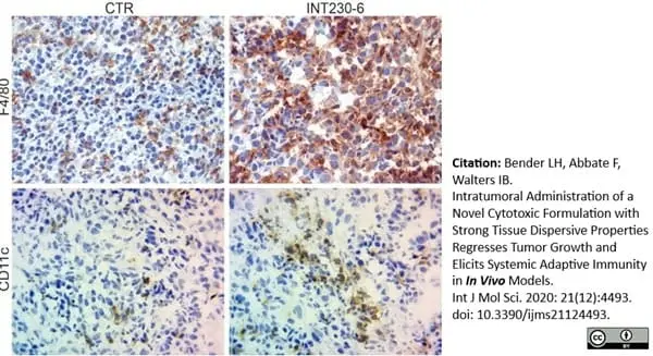 Anti Mouse CD11c Antibody, clone N418 | Bio-Rad