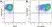 Anti Mouse CD11c Antibody, clone N418 thumbnail image 11