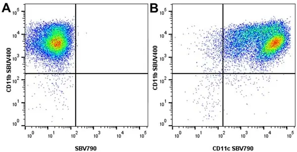 Anti Mouse CD11c Antibody, clone N418 gallery image 11