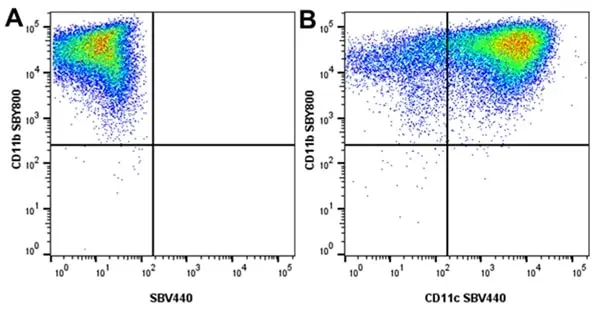 Anti Mouse CD11c Antibody, clone N418 gallery image 12