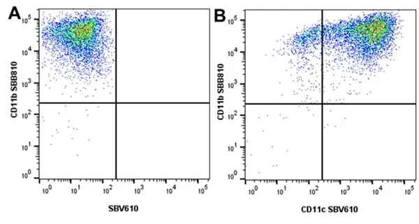Anti Mouse CD11c Antibody, clone N418 gallery image 14