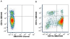 Anti Mouse CD11c Antibody, clone N418 gallery image 17