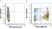Anti Mouse CD11c Antibody, clone N418 thumbnail image 18