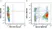 Anti Mouse CD11c Antibody, clone N418 thumbnail image 19