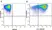 Anti Mouse CD11c Antibody, clone N418 thumbnail image 20