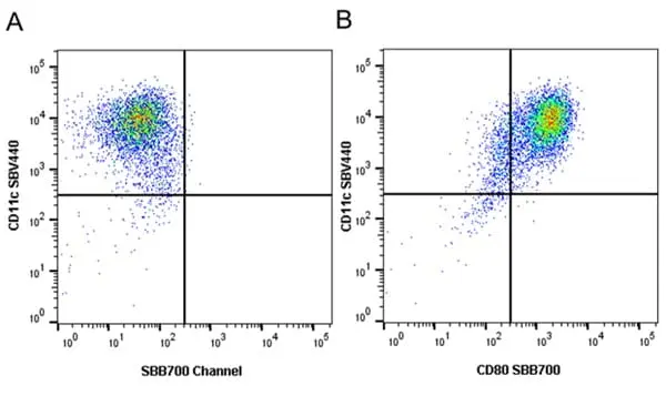 Anti Mouse CD11c Antibody, clone N418 gallery image 22