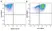 Anti Mouse CD11c Antibody, clone N418 thumbnail image 23