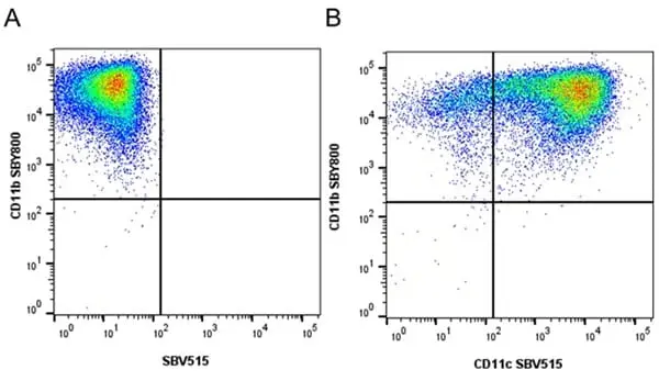 Anti Mouse CD11c Antibody, clone N418 gallery image 24