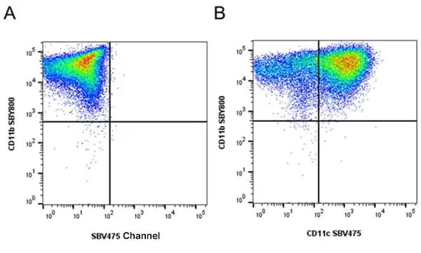 Anti Mouse CD11c Antibody, clone N418 gallery image 25