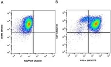 Anti Mouse CD11c Antibody, clone N418 gallery image 26