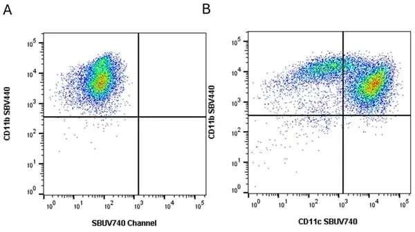 Anti Mouse CD11c Antibody, clone N418 gallery image 27