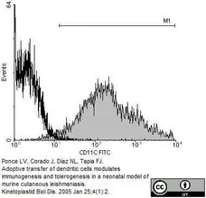 Anti Mouse CD11c Antibody, clone N418 gallery image 3