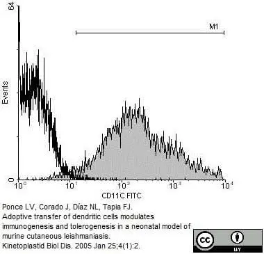 Anti Mouse CD11c Antibody, clone N418 gallery image 3
