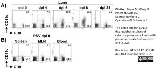 Anti Mouse CD11c Antibody, clone N418 | Bio-Rad