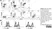 Anti Mouse CD11c Antibody, clone N418 thumbnail image 5
