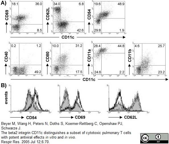 Anti Mouse CD11c Antibody, clone N418 thumbnail image 5