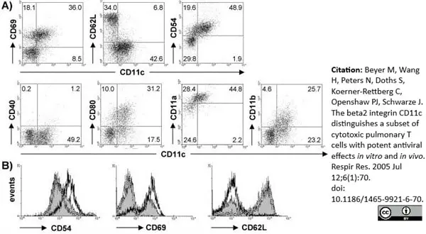 Anti Mouse CD11c Antibody, clone N418 gallery image 5