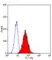 Anti Mouse CD13 Antibody, clone ER-BMDM1 thumbnail image 1
