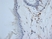 Anti Mouse CD13 Antibody, clone ER-BMDM1 thumbnail image 7