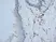 Anti Mouse CD13 Antibody, clone ER-BMDM1 thumbnail image 7