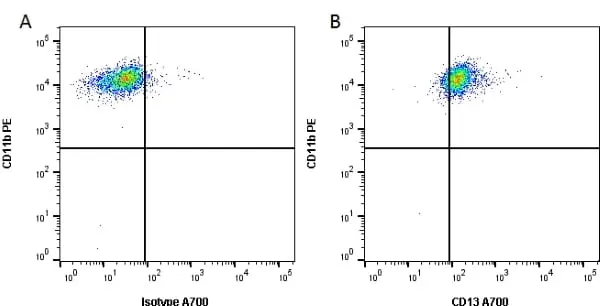 Anti Mouse CD13 Antibody, clone R3-63 gallery image 2
