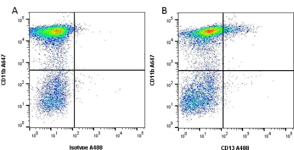 Anti Mouse CD13 Antibody, clone R3-63 gallery image 3
