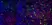 Anti Mouse CD13 Antibody, clone R3-63 thumbnail image 9