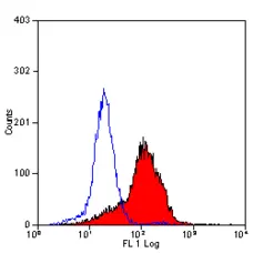 Anti Mouse CD147 Antibody, clone OX114 gallery image 1