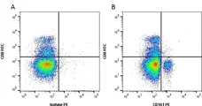 Anti Mouse CD161 / NK1.1 Antibody, clone PK136 gallery image 1