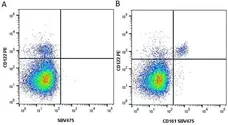Anti Mouse CD161 / NK1.1 Antibody, clone PK136 gallery image 12