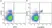 Anti Mouse CD161 / NK1.1 Antibody, clone PK136 thumbnail image 12