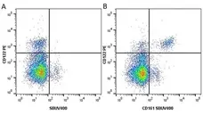Anti Mouse CD161 / NK1.1 Antibody, clone PK136 gallery image 13