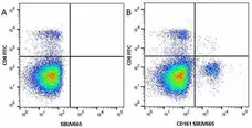 Anti Mouse CD161 / NK1.1 Antibody, clone PK136 gallery image 15