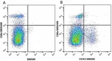 Anti Mouse CD161 / NK1.1 Antibody, clone PK136 gallery image 18