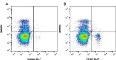 Anti Mouse CD161 / NK1.1 Antibody, clone PK136 gallery image 2
