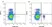 Anti Mouse CD161 / NK1.1 Antibody, clone PK136 thumbnail image 2