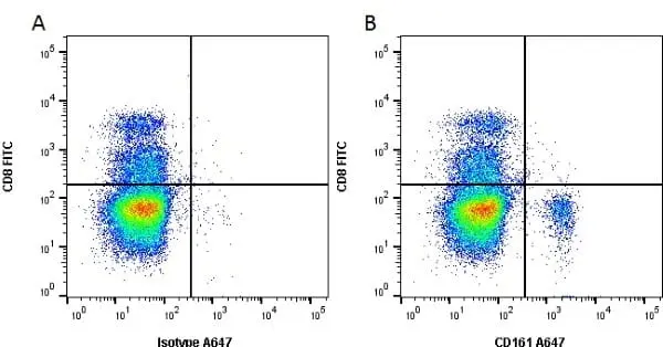 Anti Mouse CD161 / NK1.1 Antibody, clone PK136 gallery image 2