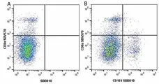 Anti Mouse CD161 / NK1.1 Antibody, clone PK136 gallery image 20