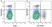 Anti Mouse CD161 / NK1.1 Antibody, clone PK136 thumbnail image 24