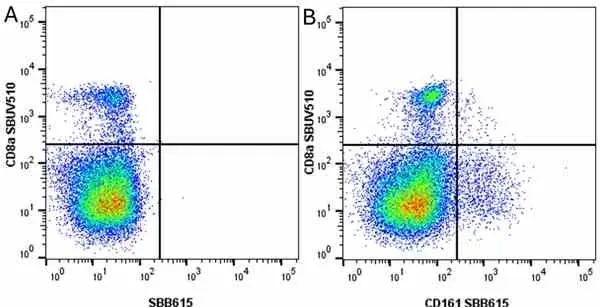 Anti Mouse CD161 / NK1.1 Antibody, clone PK136 gallery image 27