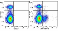 Anti Mouse CD161 / NK1.1 Antibody, clone PK136 gallery image 29