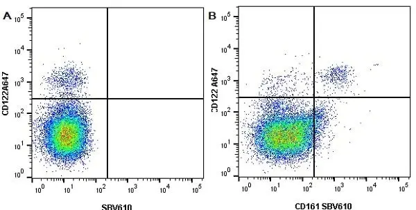 Anti Mouse CD161 / NK1.1 Antibody, clone PK136 gallery image 4