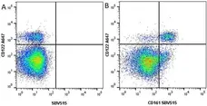 Anti Mouse CD161 / NK1.1 Antibody, clone PK136 gallery image 5