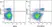 Anti Mouse CD161 / NK1.1 Antibody, clone PK136 thumbnail image 5