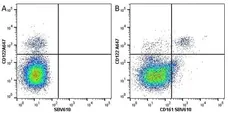 Anti Mouse CD161 / NK1.1 Antibody, clone PK136 gallery image 8